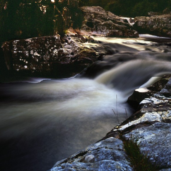 JPCVM0024-Dog falls 2