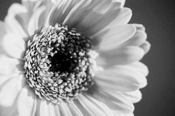 Black and white look 3.