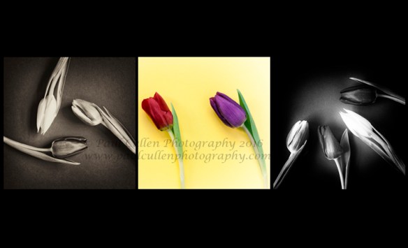 Triptych Tulips